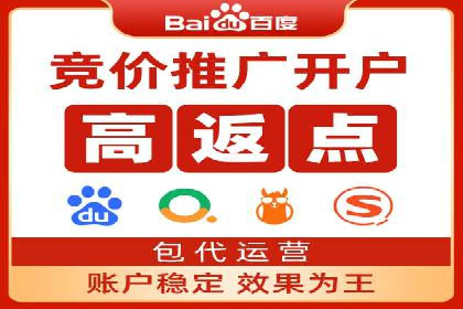 百度竞价广告投放的ROI优化：经典案例分享